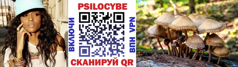 Галлюциногенные грибы Magic Shrooms  Сунжа 